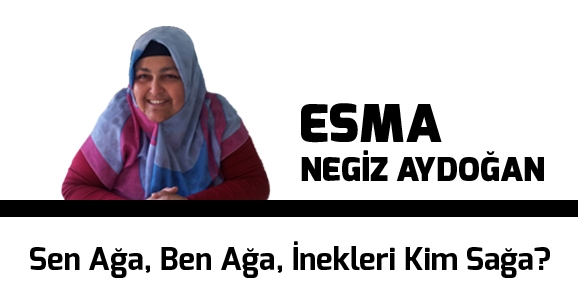 Sen Ağa, Ben Ağa, İnekleri Kim Sağa?
