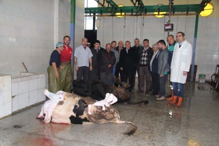 SERTİFİKALI KASAPLAR  