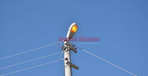 SOKAK LAMBALARI GÜZDÜZ YANIYOR