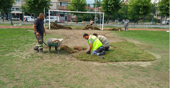 STADIN BAKIM ÇALIŞMALARI SÜRÜYOR