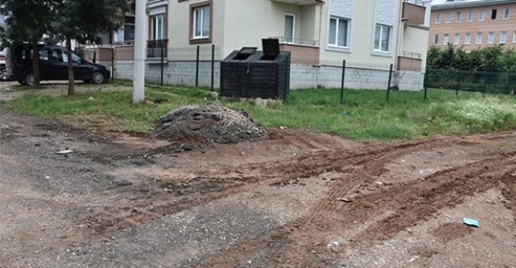 Tamam Dendi 2,5 Ay Geçti