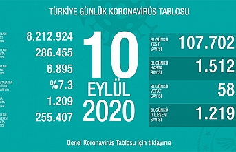 Can Kaybı 6895, Hasta Sayısı 286 Bin 455