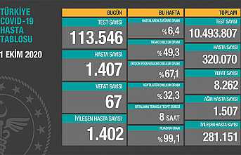 Can Kaybı 8262, Hasta Sayısı 320 Bin 70