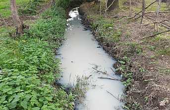 Deremiz Kirleniyor