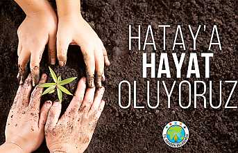 Hendek Belediyesinden 1907 Fidan