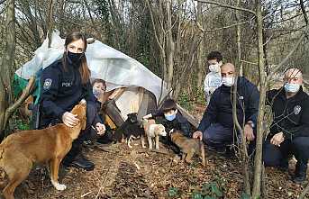İkizler Polislerle Sokak Hayvanlarını Besledi