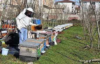 Arı’da Bahar Bakımı