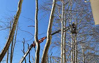 Belediye Tedbirleri Sonuç Verdi