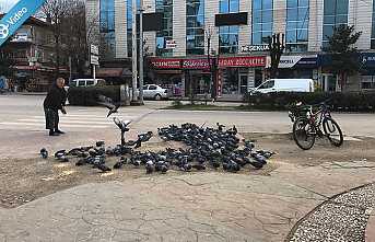 Kendi Haberini Kendisi Sundu