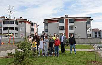 Bu Yıl Hedef 5 Bin Fidan