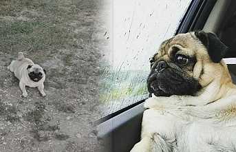 Bulana Ödül Verilecek