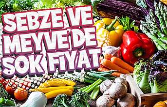 Efecan Tanzim Hergün En Ucuz Fiyat