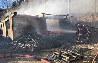 Göksu Mahallesi'nde Yangın