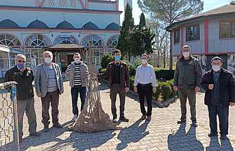 Hendek’te Bedelsiz Fidan Dağıtıldı