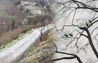 Leylekler Yolu Şaşırdı