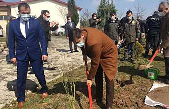 Orman Haftasına Özel Fidan Diktiler