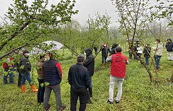 Fındıkta Doğru Tarım Projesi Eğitimleri Tamamlandı