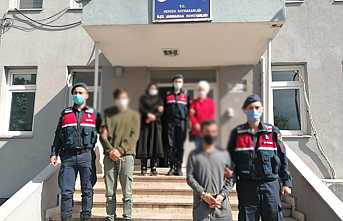 Hayvan Hırsızları Jandarmadan Kaçamadı