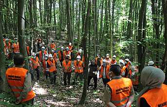 Hedef Bakımlarla Genç Meşçerelerin Stabilitesini Artırmak