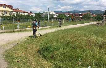 Mahallelerde Yabani  Otla Mücadele Sürüyor