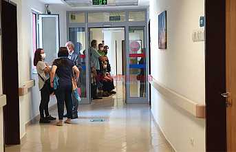 Aşıya Yoğun İlgi