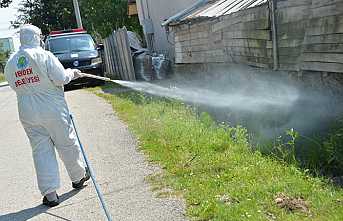 Hendek Belediyesinden Etkin Larva Mücadelesi
