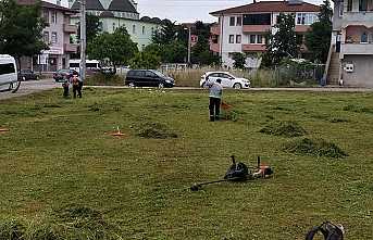 Hendek Güzelleşiyor