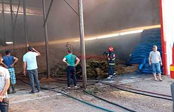 Tavuk Çiftliğinde Yangın