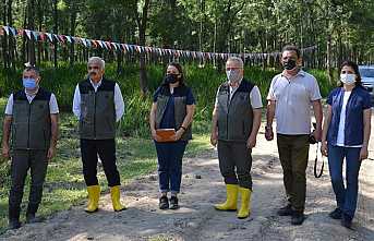 Hendek’te Amerikan Beyaz Kelebeği ile Mücadele