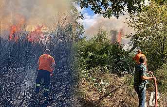 Yangın Büyümeden Söndürüldü