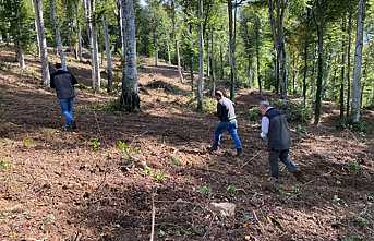 Tabi Tensil Sahasında Tohumlar Dökülmeye Başladı