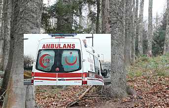 Ormanda Ölü Bulundu