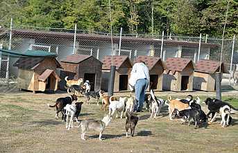 Can Dostlarımıza Kucak Açıyoruz