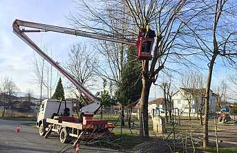 Ağaçlar Budanıyor, Yeşil Korunuyor