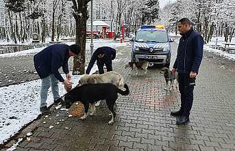 Can Dostlarımızı Unutmuyoruz