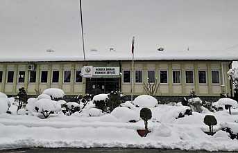 Dışarda Kar İçerde Fidan