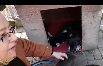 Sosyal Medyadaki Algıya Hayvanseverlerden Cevap