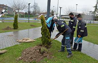 Hendek Belediyesi Yeşillendirmeye Devam Ediyor