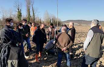 Kavak Dikimi İş Başı Eğitimi Yapıldı