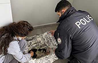 Asya’dan İnsanlık Dersi