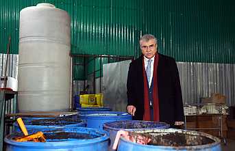 Solucan Gübresi ile Sakarya’nın Bereketli Topraklarının Verimini Artıracağız