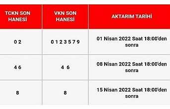 Fındık Destek Ödemeleri Başladı