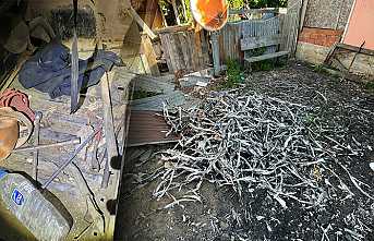 Hırsızlar Fotokapan’dan Kaçamadı