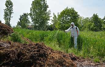 Larva Mücadelesi Başladı