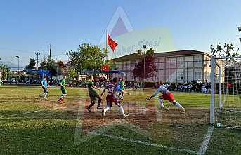 Orman İşletme Direklere Takıldı