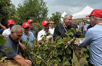 2. Fındık Hasat Şenliği Hendek’te Yapıldı