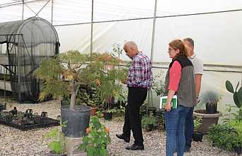 Ziya Polat Fidanlık Şefliğini ziyaret etti