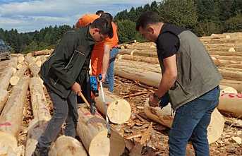 Barkod Uygulaması ile Mesaha Çalışmaları Devam Ediyor