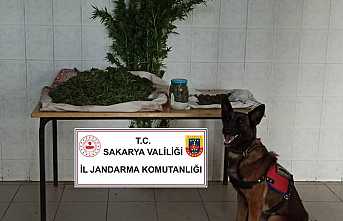 Hendek'te Uyuşturucu Operasyonu