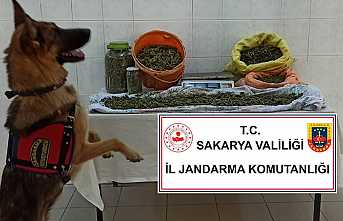 Hendek’te 8,5 Kg Esrar Ele Geçirildi